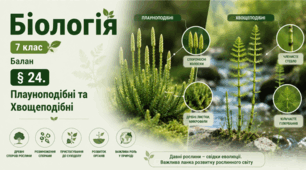 Плауноподібні та Хвощеподібні. 7 клас НУШ.