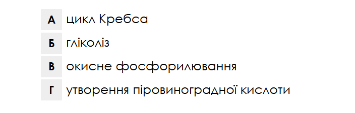 0901xeqw-ae97-704x225.png