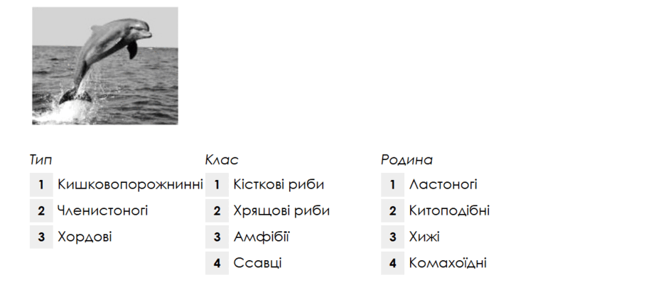0901xesi-0ba0-940x405.png