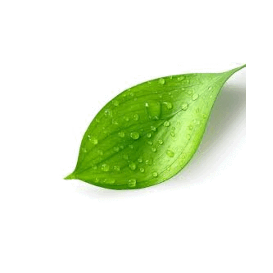0901xg2x-bf24-940x940.png