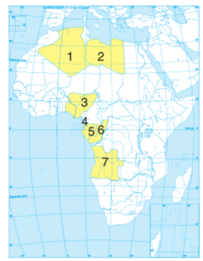 0901xg7i-bd59-203x261.png