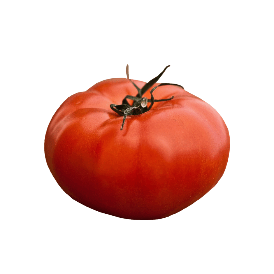 0901xgcq-a356-940x940.png