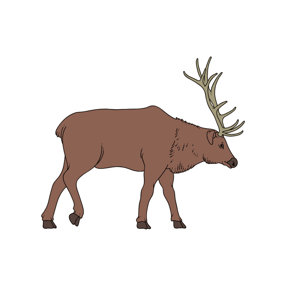 0901xghy-9deb-940x940.png
