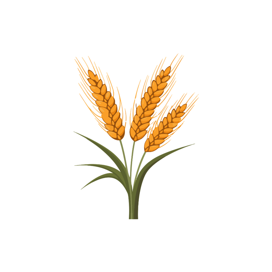 0901xgi8-bbd0-940x940.png