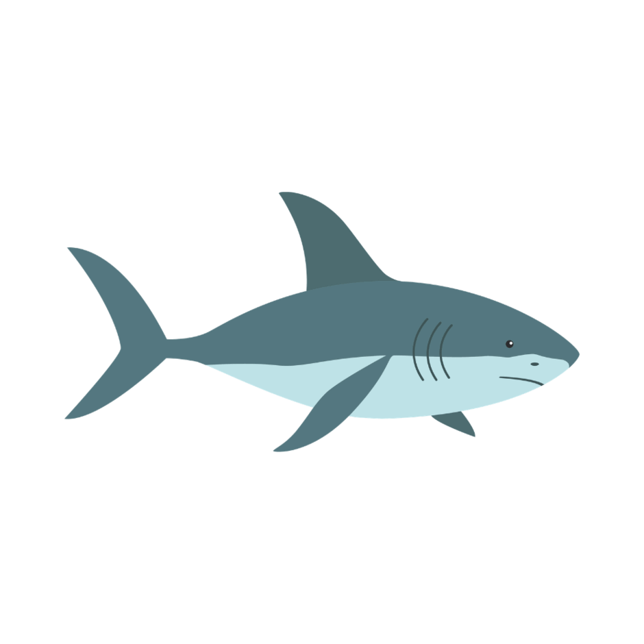 0901xgtn-b546-940x940.png