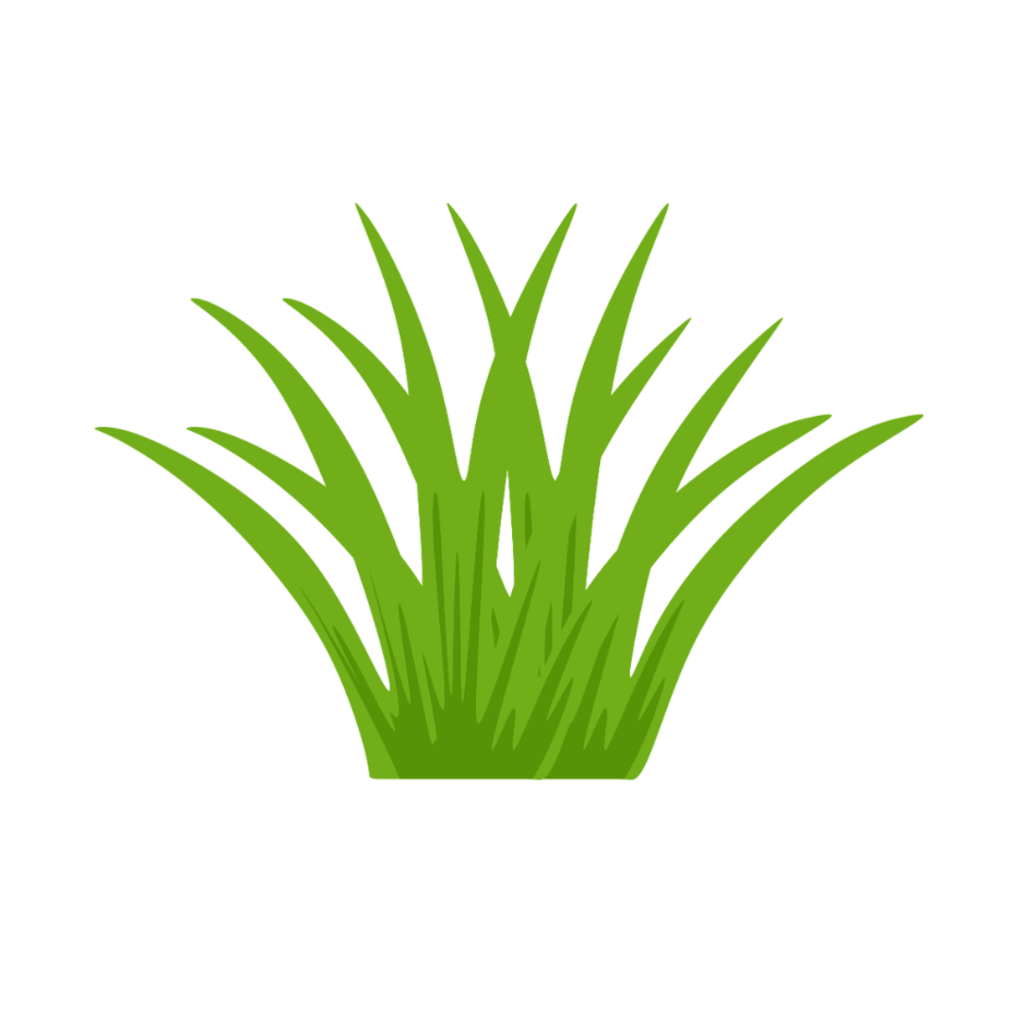 0901xgv4-c73c-940x940.png