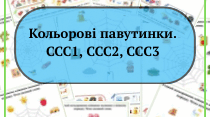 «Кольорова павутинка» ССС 1, ССС 2, ССС 3 типу.