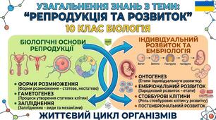  Узагальнення знань з теми: " Репродукція та розвиток "