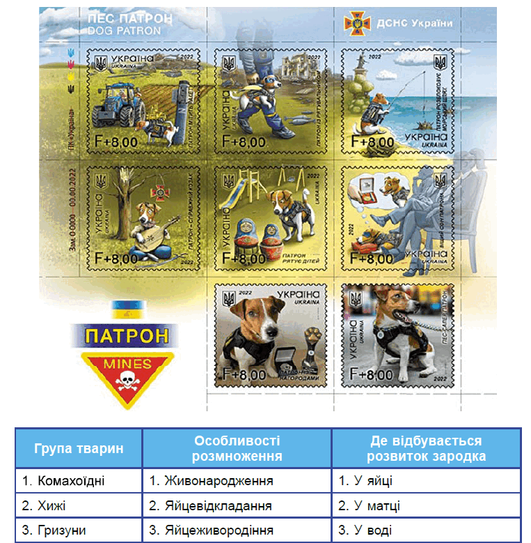 0901xjb7-11f3-763x779.png