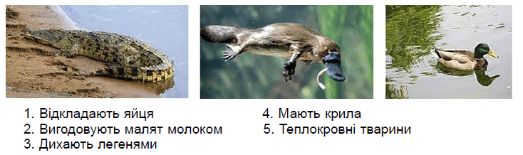0901xjcu-8a4d-734x218.png
