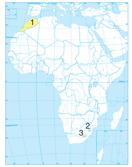 0901xjni-47b2-258x326.png