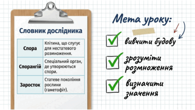 0901xju5-4261-387x218.png