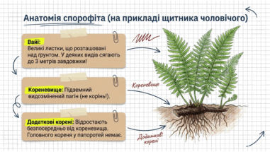 0901xjux-7e2a-381x215.png