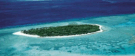0901xk9k-45d8-195x81.png