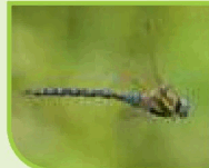 0901xme9-0440-188x151.png