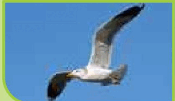 0901xmec-355a-254x147.png