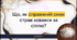Відеоогляд "Вплив солі на організм людини"