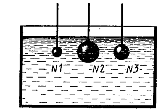 930570_1746995389.png