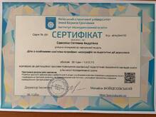  Діти з особливими освітніми потребами: нозографія та педагогічні дії дорослого