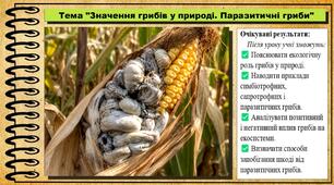 Значення грибів у природі. Паразитичні гриби. Біологія. 8 клас. До підручника Задорожний К. та ін.