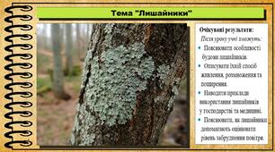 Лишайники. Біологія. 8 клас. До підручника Задорожний К. та ін.