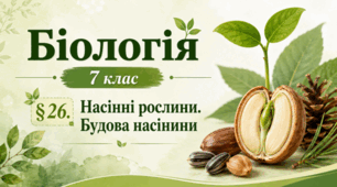 Насінні рослини. Будова насінини. 7 клас НУШ