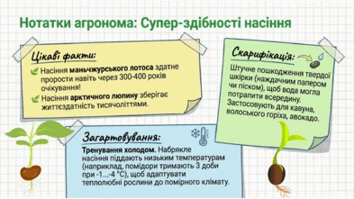 0901xqbm-912f-393x221.png