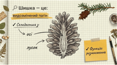 0901xqhm-9032-393x221.png