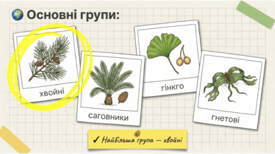 0901xqi6-e160-388x218.png