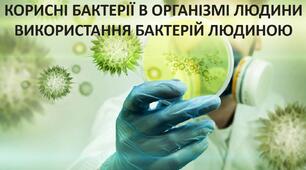 Презентація до уроку: "КОРИСНІ БАКТЕРІЇ В ОРГАНІЗМІ ЛЮДИНИ ВИКОРИСТАННЯ БАКТЕРІЙ ЛЮДИНОЮ"