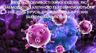Презентація до уроку: "ВІРУСИ, ОСОБЛИВОСТІ ЇХНЬОЇ БУДОВИ, ЯК ВЗАЄМОДІЮТЬ З КЛІТИНОЮ ТА РОЗМНОЖУЮТЬСЯ В НІЙ. РОЛЬ ВІРУСІВ. ПРОФІЛАКТИКА ВІРУСНИХ ЗАХВОРЮВАНЬ ЛЮДИНИ"