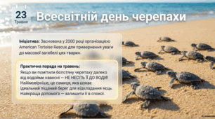 23 травня - Всесвітній день черепахи