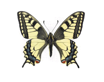 0901xsea-6832-353x280.png