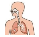 0901xsf8-912c-131x124.png