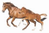 0901xsy1-258b-193x132.png