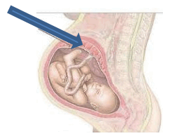 0901xszq-0351-266x194.png