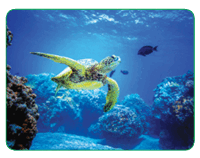 0901xt5h-6804-200x158.png