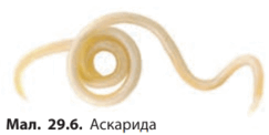 0901xtiv-8028-243x122.png