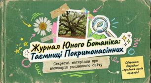 Презентація " РІЗНОМАНІТНІСТЬ ПОКРИТОНАСІННИХ" 7 клас НУШ