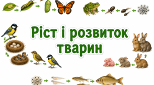 Ріст і розвиток тварин