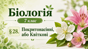 Покритонасінні, або Квіткові. 7 клас НУШ.
