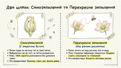 0901xw17-c1c2-413x232.png