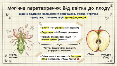 0901xw4y-a5bc-400x225.png