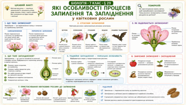 0901xw5o-22b3-384x216.png