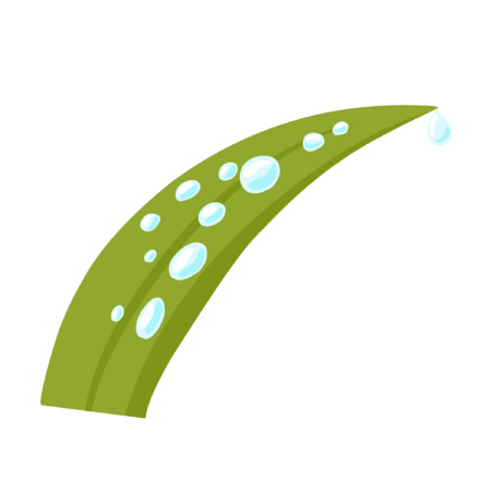 0901xyq4-eada-450x450.png