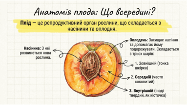 0901xzna-a757-383x216.png