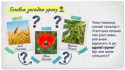0901y08j-c1f8-404x228.png