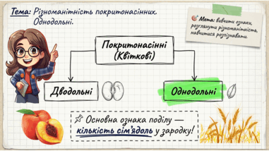 0901y08s-efbb-381x214.png