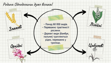 0901y09k-fa2a-376x212.png