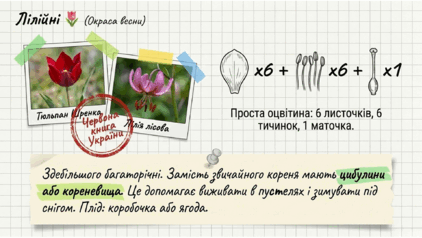 0901y09s-85ac-422x238.png